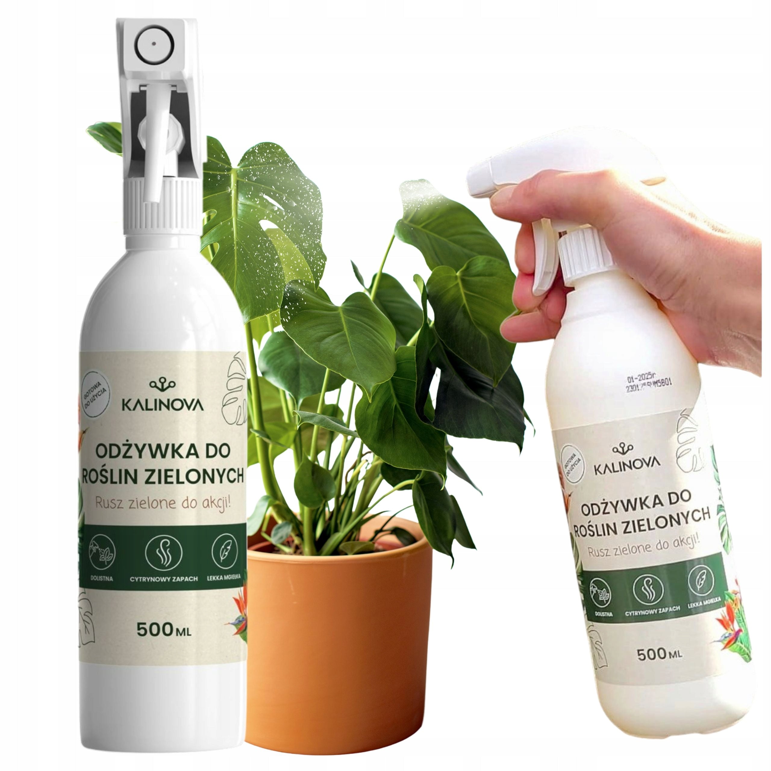 Fertilizer Conditioner Green Plant Leaf Fertilizer Monstery Palm Spray 500ml