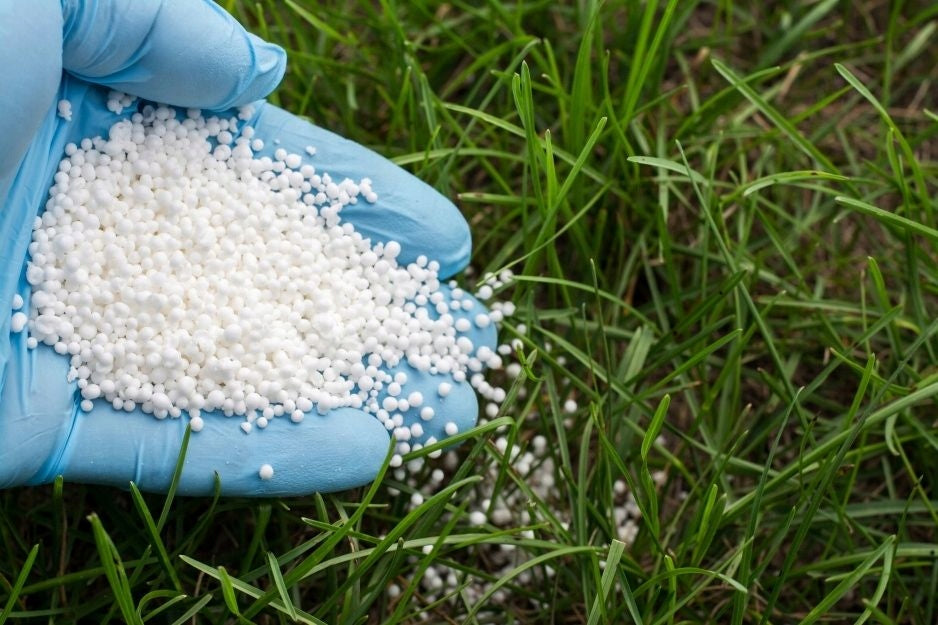 Fertilizer Saletra Ammonium Anvistar granules 10 kg grass lawn Manufacturer no brand