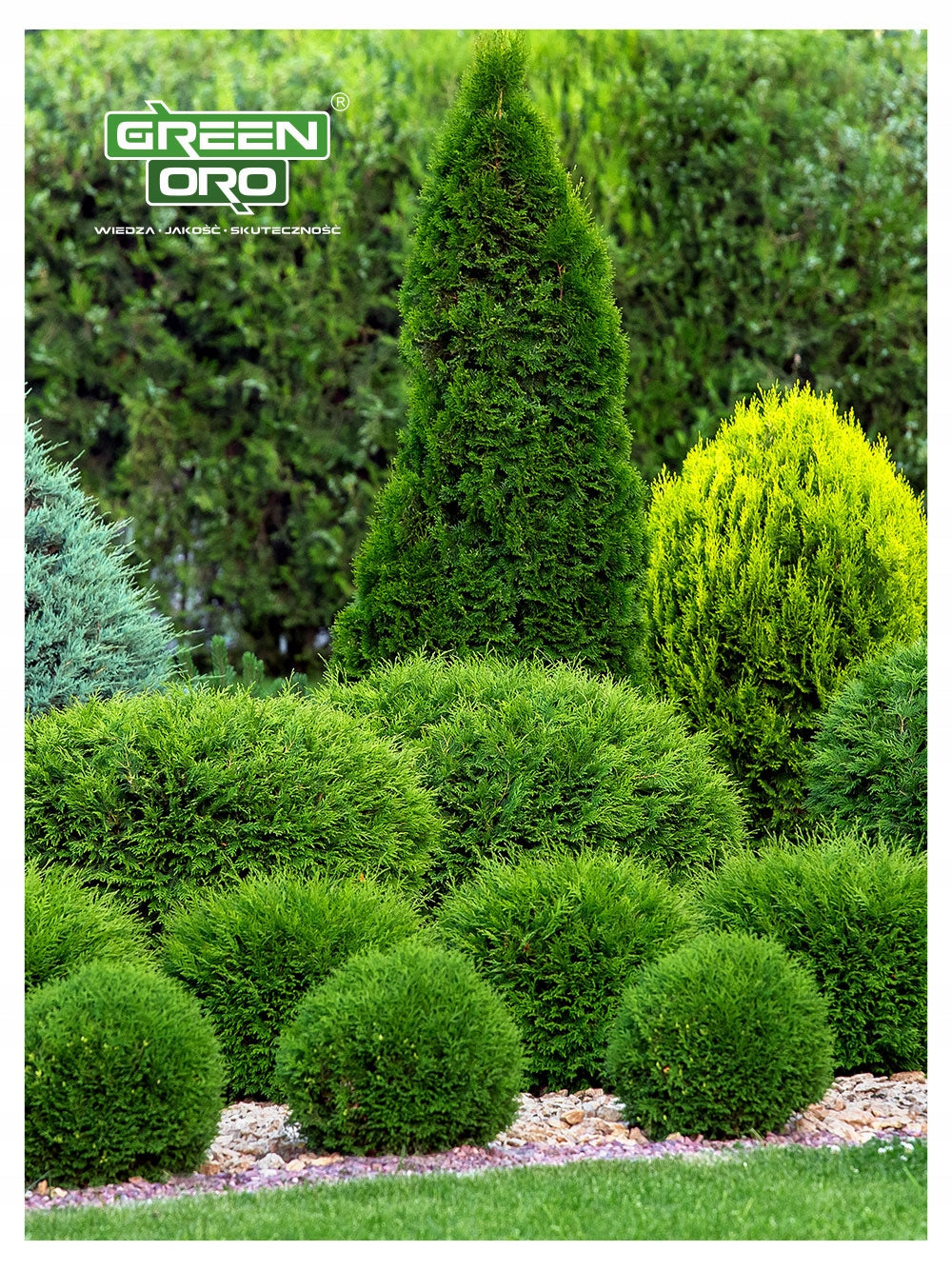 Fertilizer for Tui Conifers Summer AUTUMN Against Browning under Tuje 6kg Packaging status original