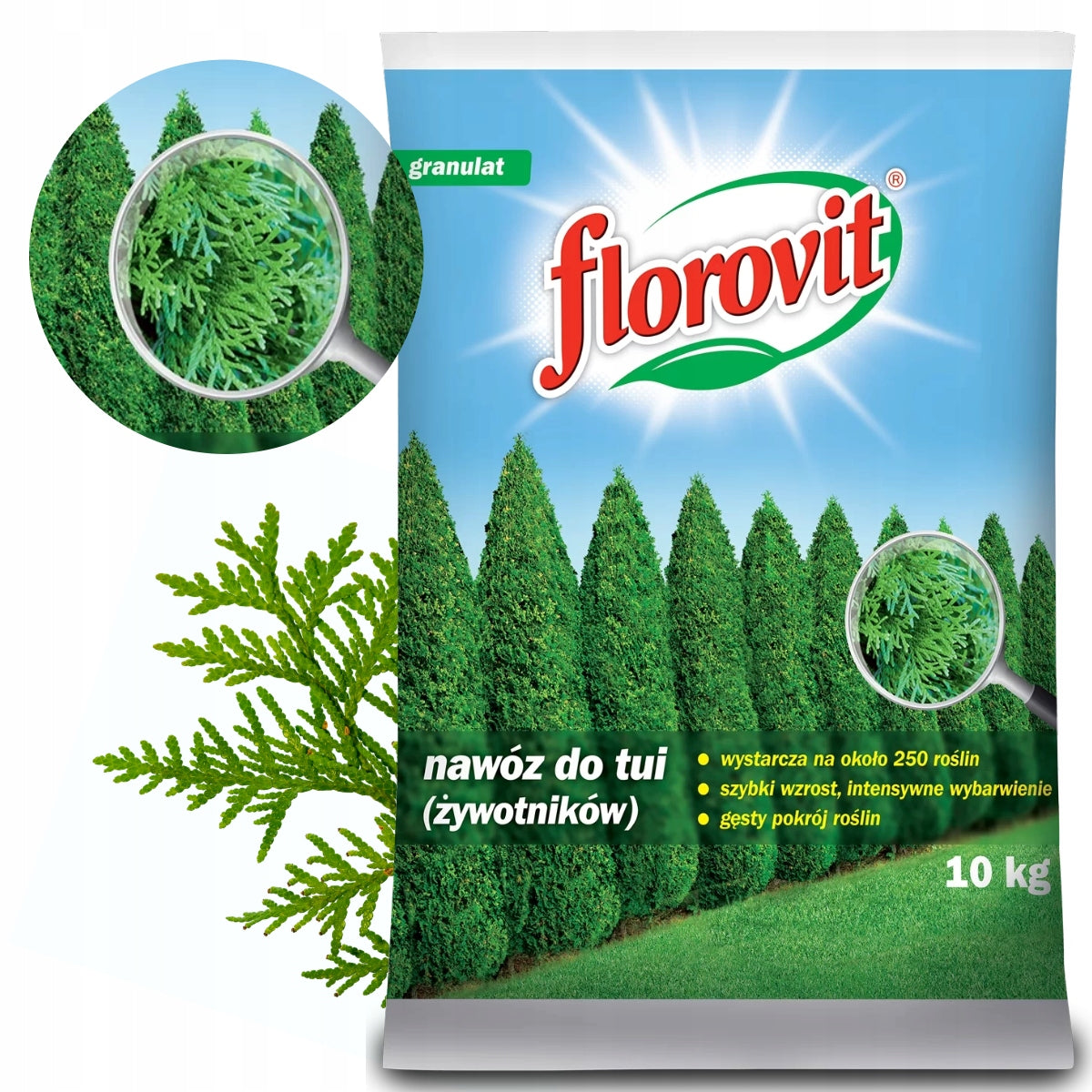 Fertilizer for Tuji Livers Conifers Florovit 10kg Volume 10 l