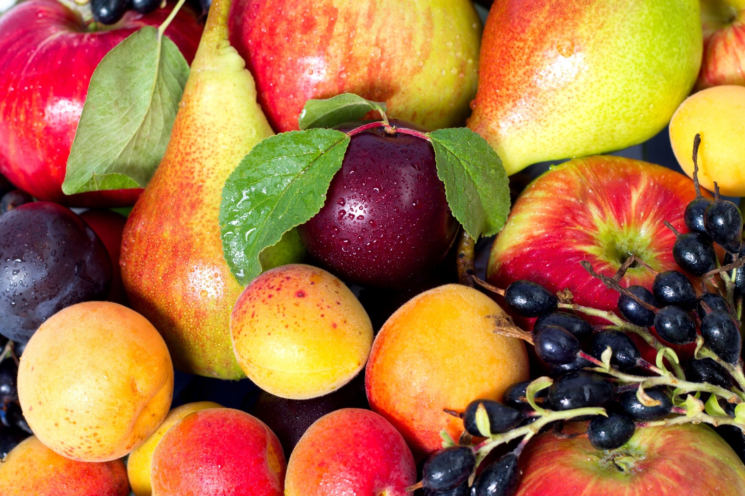 Fertilizer for fruit trees and shrubs Organic 3kg FREEBIE Biostarter Purpose for fruit bushes