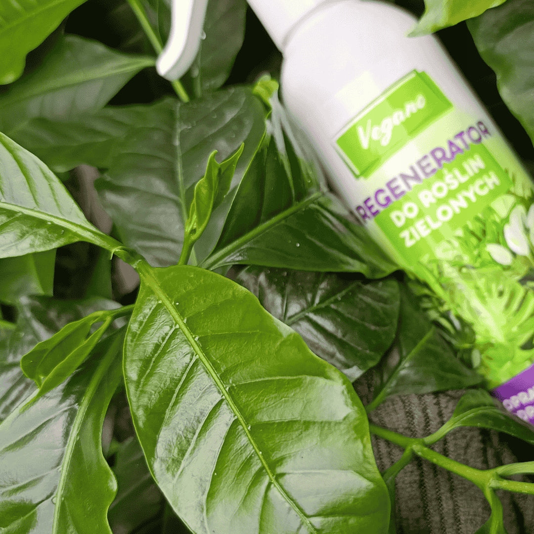 Fertilizer for potted green plants spray regenerator Vegano 300 ml Form liquid