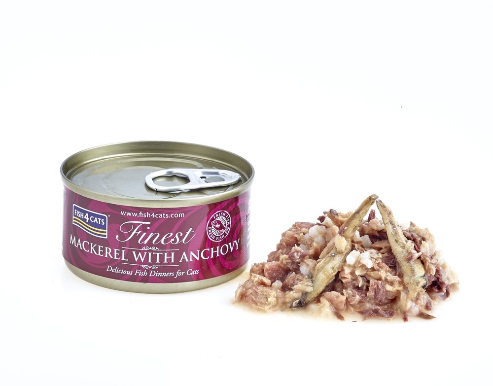 Fish4Cats - Anchois Mackerel 70g - WET CAT FOOD