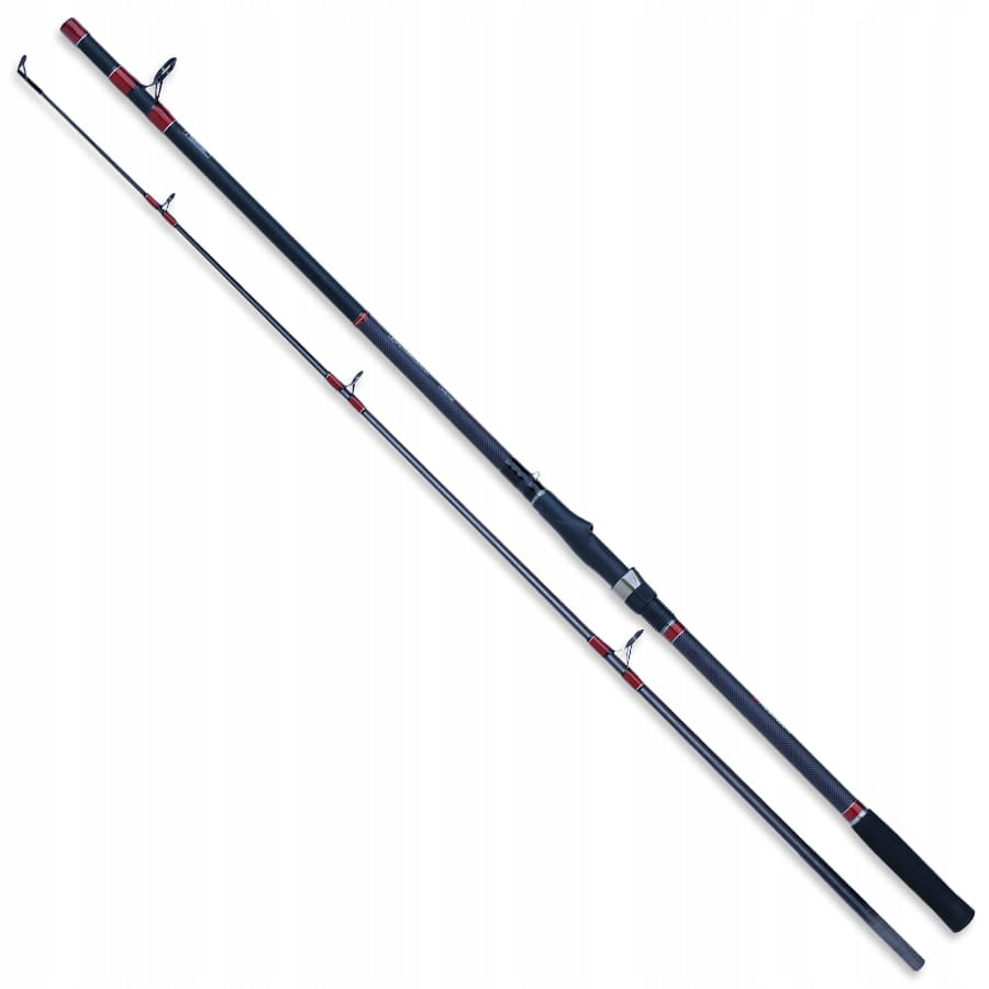 Fishing Rod Robinson Carbonic Baltic Pilk 3,00m, 100-300g