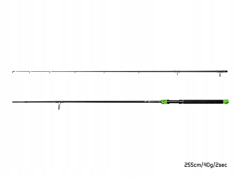 Fishing rod Delphin GreenCODE 255cm/40g/2 compositions Brand Delphin