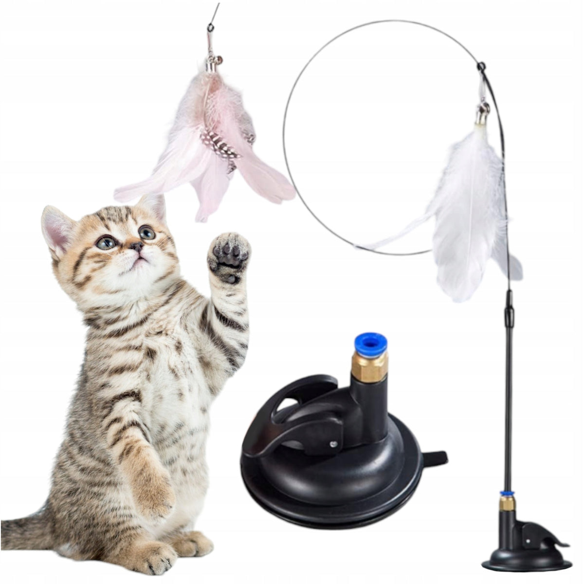 Fishing rod with suction cup - cat toy