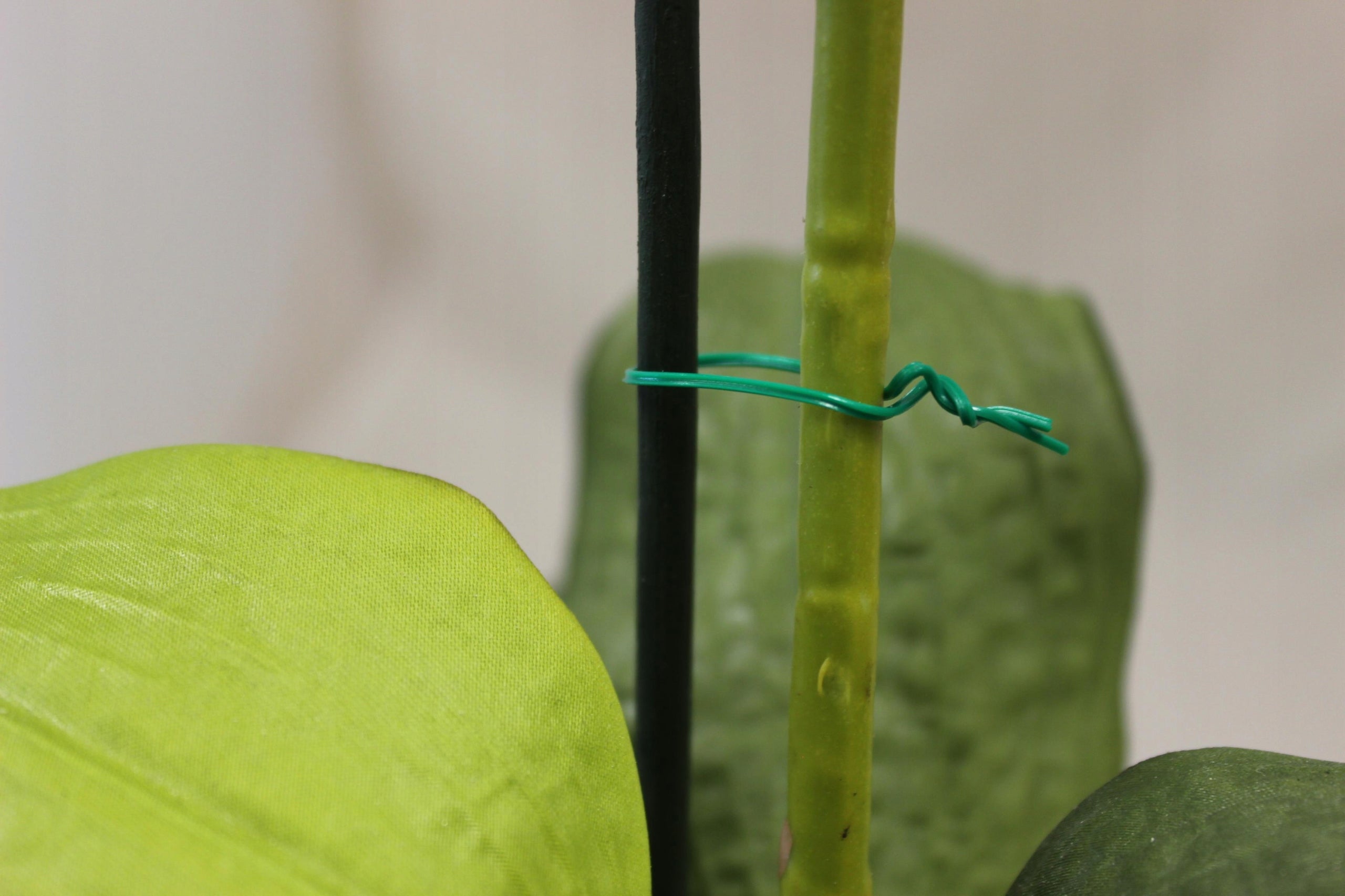 Flat garden wires, green 10 cm 500 pcs. Brand Chomik
