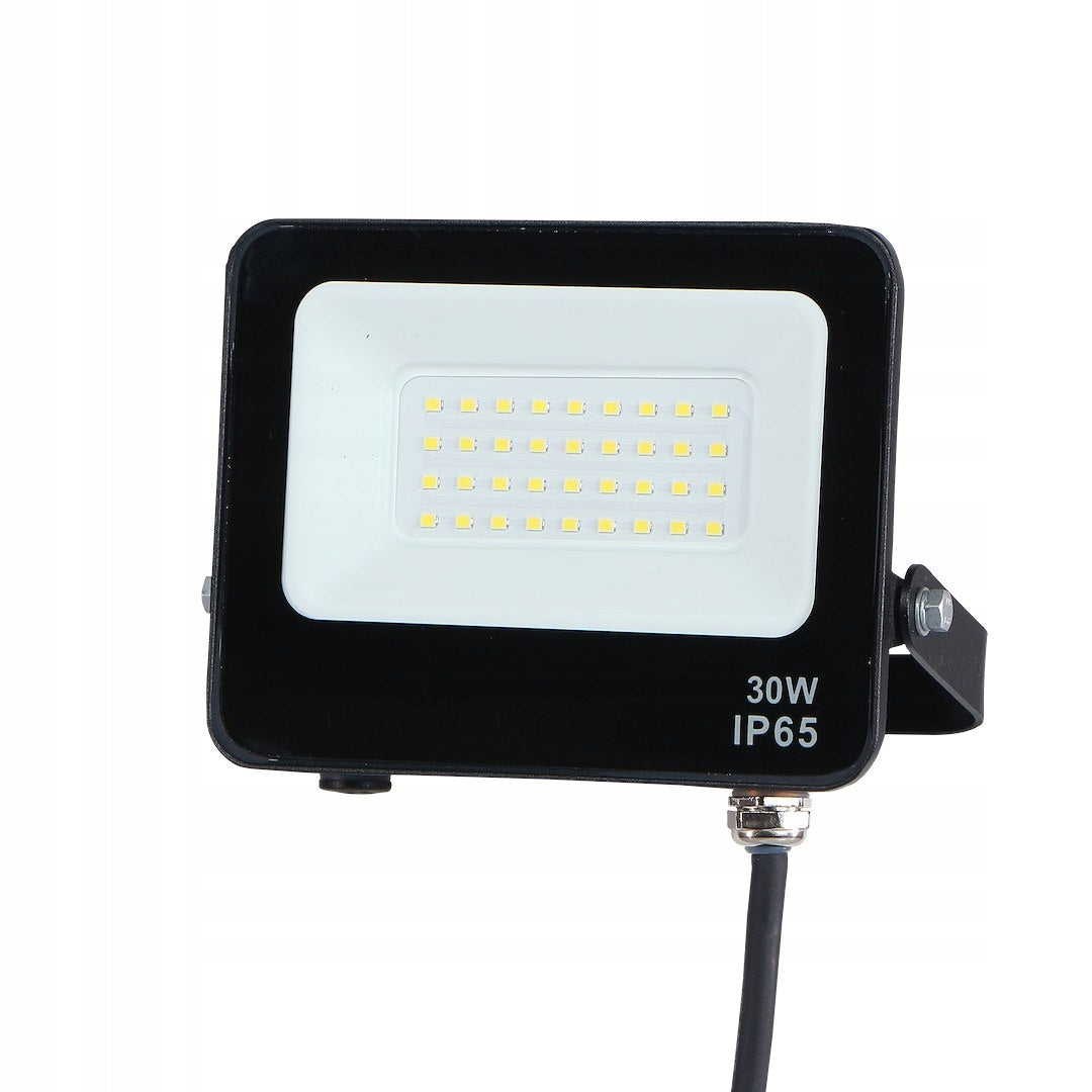 Floodlight LED halogen outdoor work lamp strong small bright 30W 4000K Packaging status original