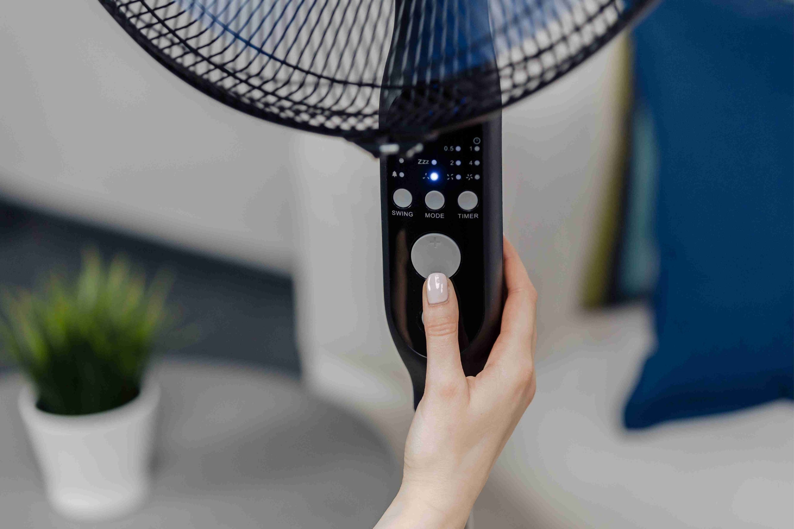 Floor fan Zelmer ZRF1450 black remote control Dominant color black