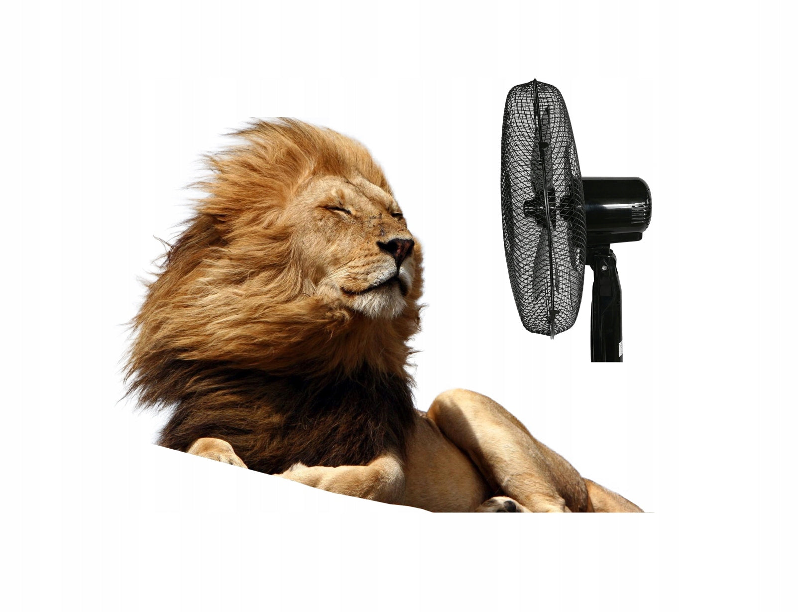 Floor fan standing Misty oscillation automatic remote control Model wentylatory