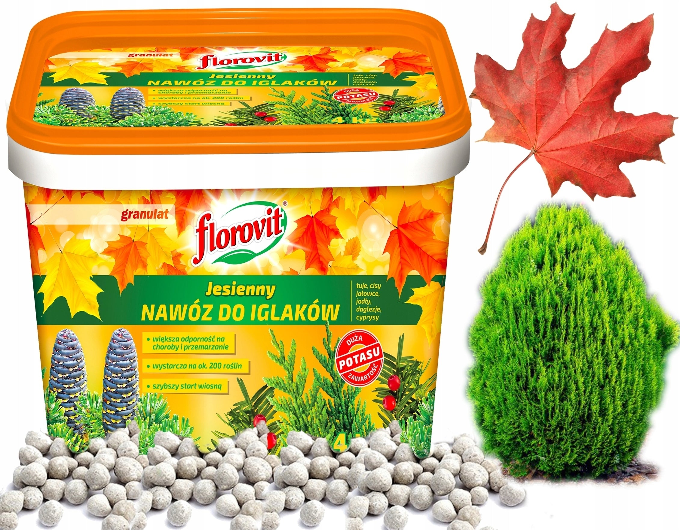 Florovit Autumn Fertilizer For Conifers 4kg Bucket Granules Potassium Start Spring Manufacturer Grupa Inco