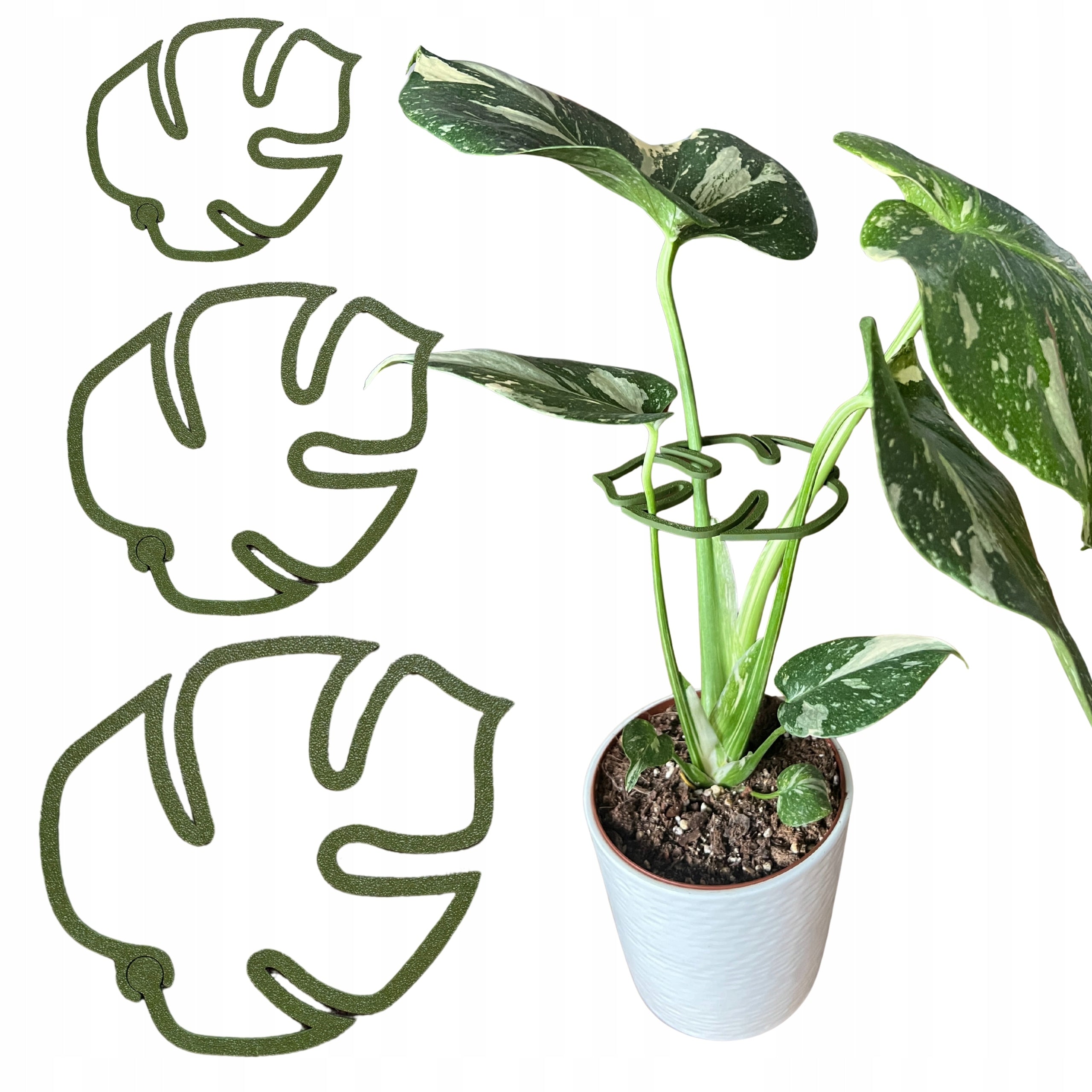 Flower Plant Support MONSTERA STRONG Gripper Clasp S M L 3x