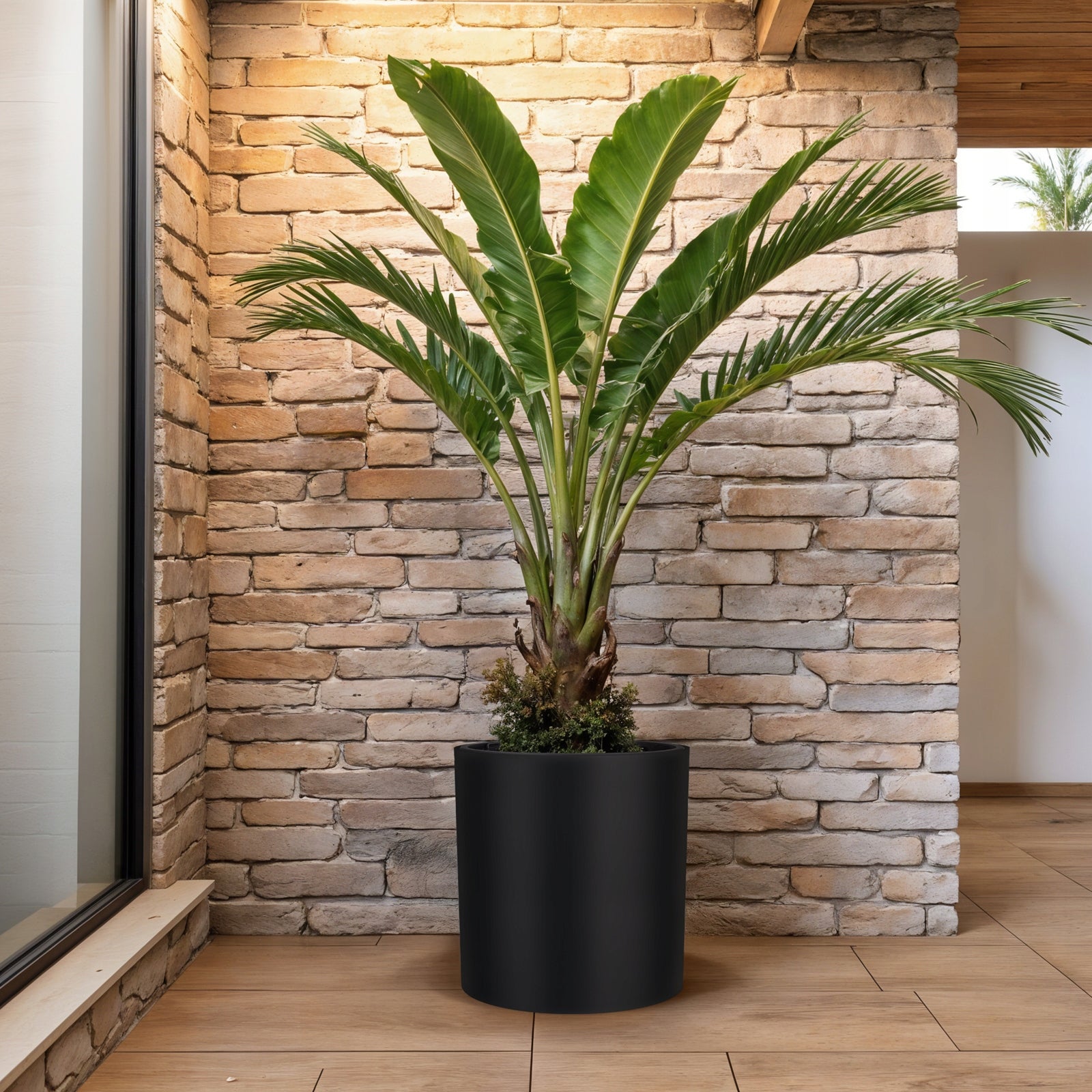 Flower Pot 47cm Large Garden Planter Frost Resistant Anthracite + Refill Product height 46 cm