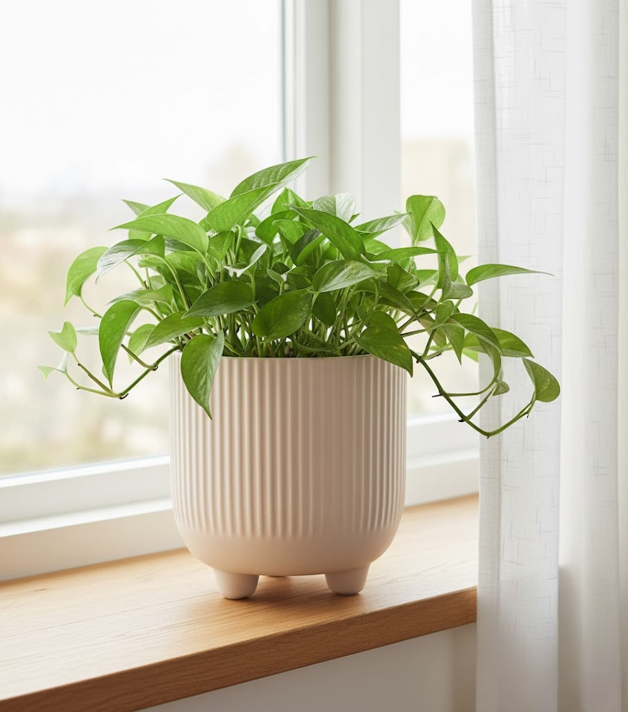 Flower Pot Cover Beige 15 cm with Ceramics on Three Feet Designer Planter Brand SmartHome