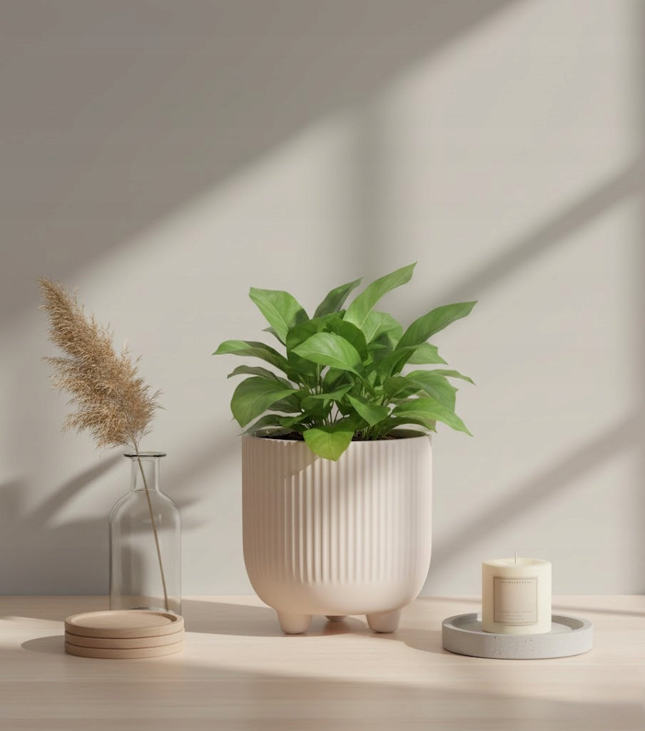 Flower Pot Cover Beige 15 cm with Ceramics on Three Feet Designer Planter EAN (GTIN) 5905815884874