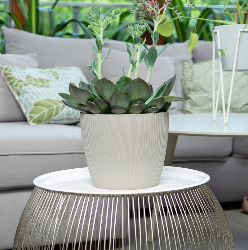 Flower Pot MAGNOLIA ECO wood 220 jumper - forest green Maximum width 21.3 cm