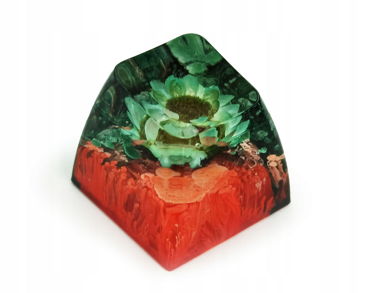 Flower in Resin Keycaps Custom Keycaps Resin Custom ESC
