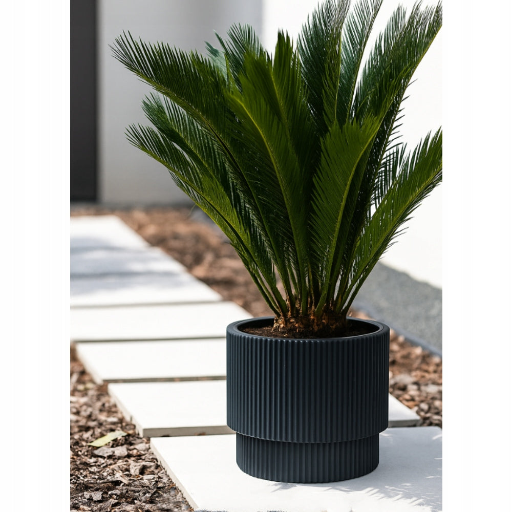 Flower pot Milly DBMIN300 anthracite 17 L 29,8x29,8x28,5 cm Brand Prosperplast