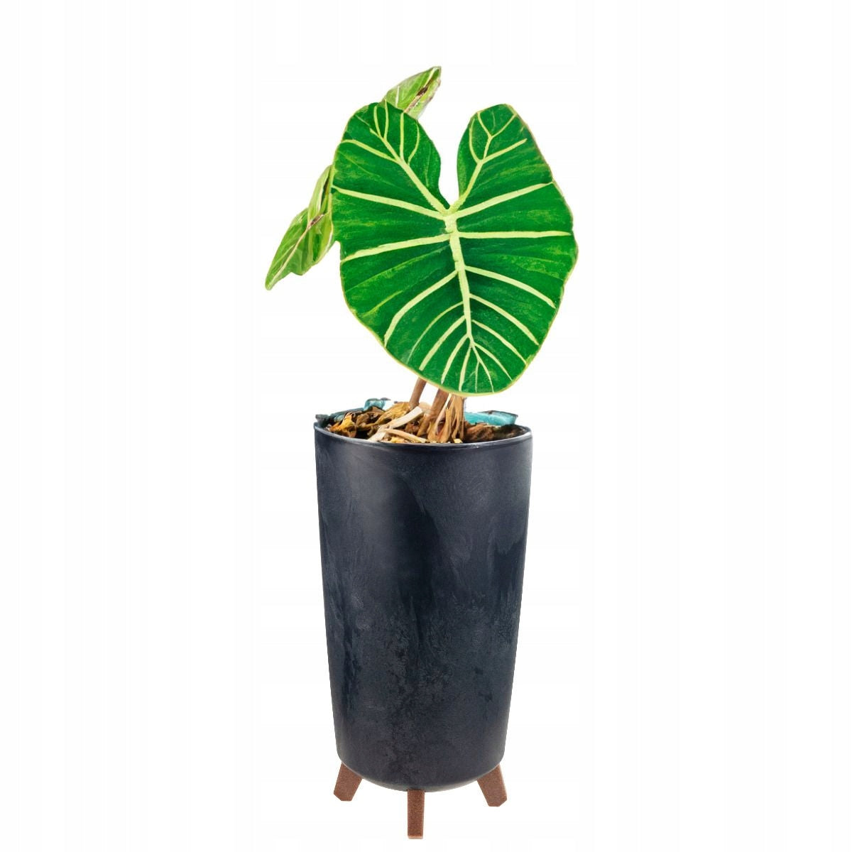 Flower pot, Planter SLIM HIGH on LEGS CONCRETE EFFECT PLANT COVER Length 19.5 cm