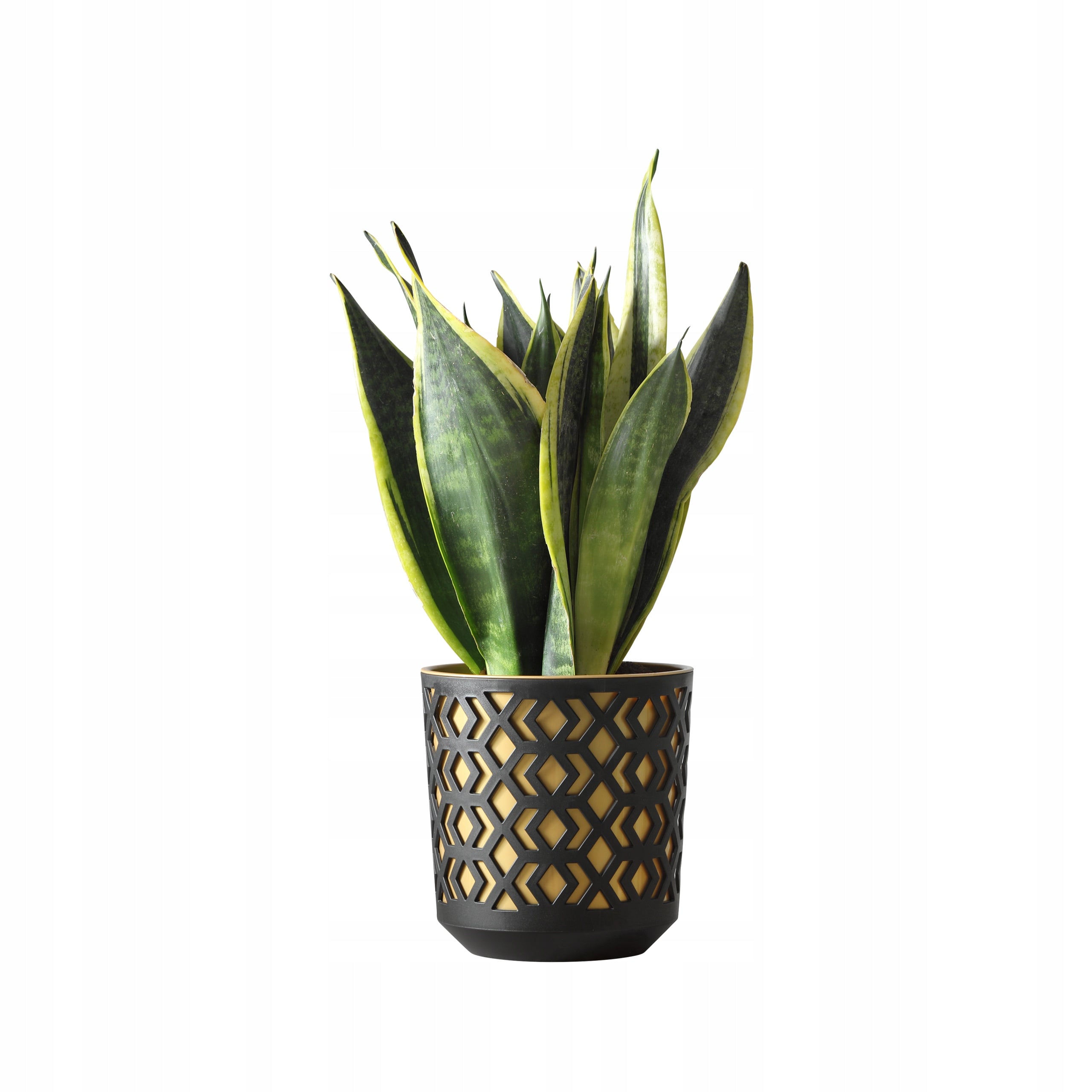 Flower pot for living room Lamela AZTEK d. 19,5cm col. BLACK + WHITE Color white black