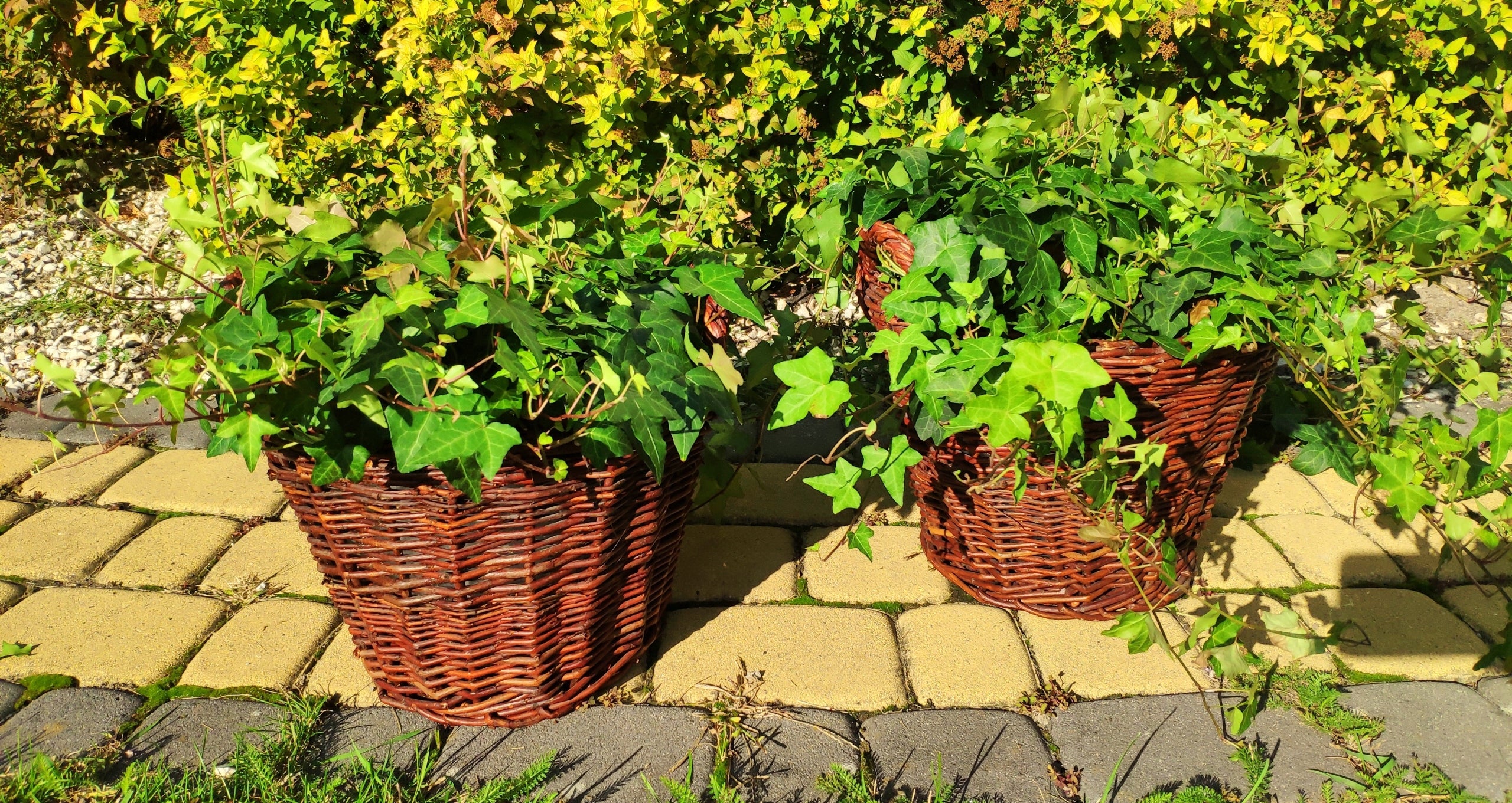 Flower pot wiklinowy Planter 22 cm High Quality Brand Wiklinowy