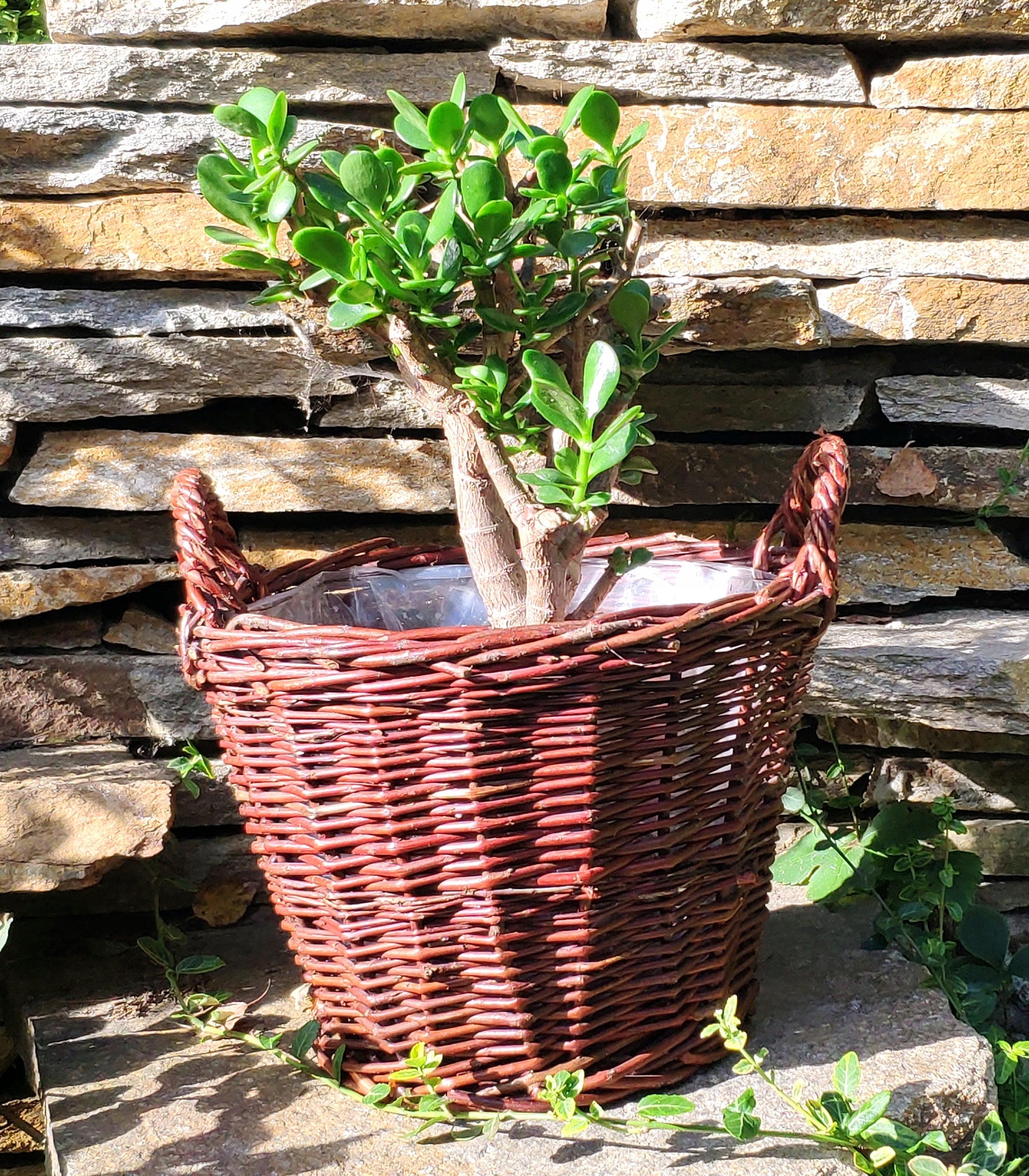 Flower pot wiklinowy Planter 22 cm High Quality Maximum width 30 cm