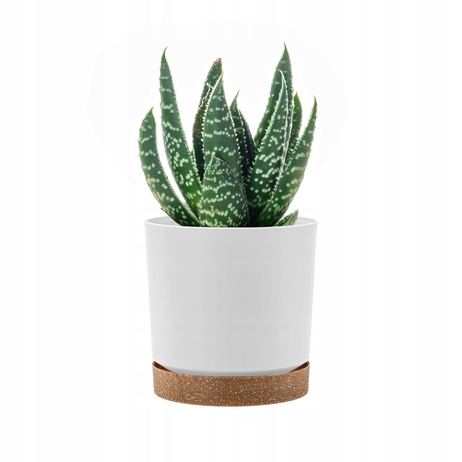 Flower pot with stand drain DPOD180 White