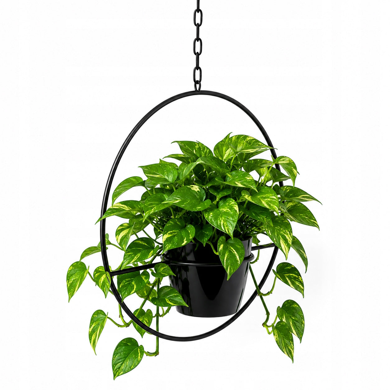 Flowerbed Wall Hanging Metal Black Ceiling Flower Pot Hanging Loft Manufacturer code kwietnik na ścianę wiszący metalowy koło
