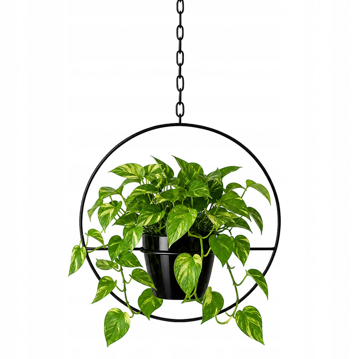 Flowerbed Wall Hanging Metal Black Ceiling Flower Pot Hanging Loft Packaging status original