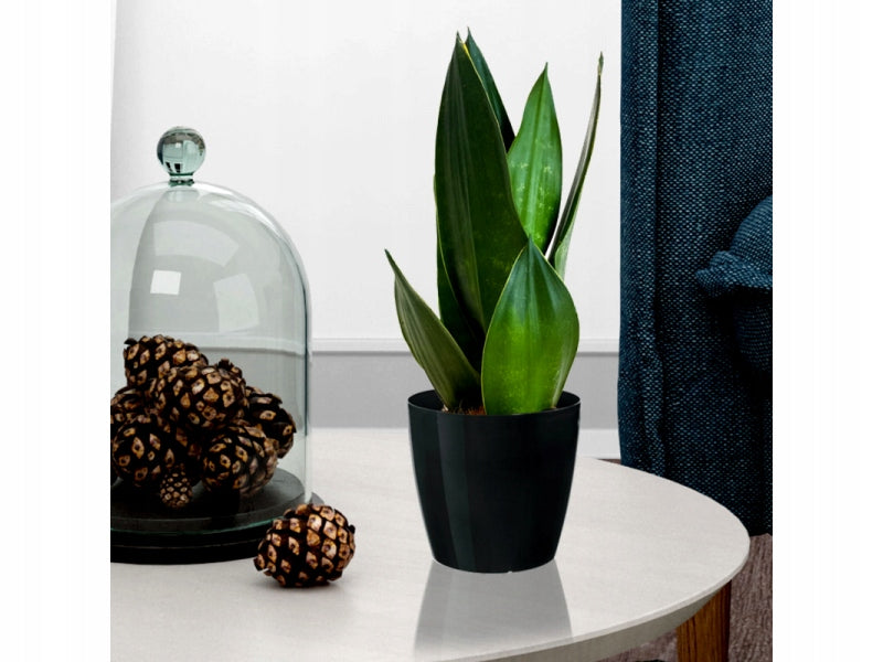 Flowerpot Pot Cover Magnolia Smooth, diameter 25cm Cream Manufacturer code LA205-74