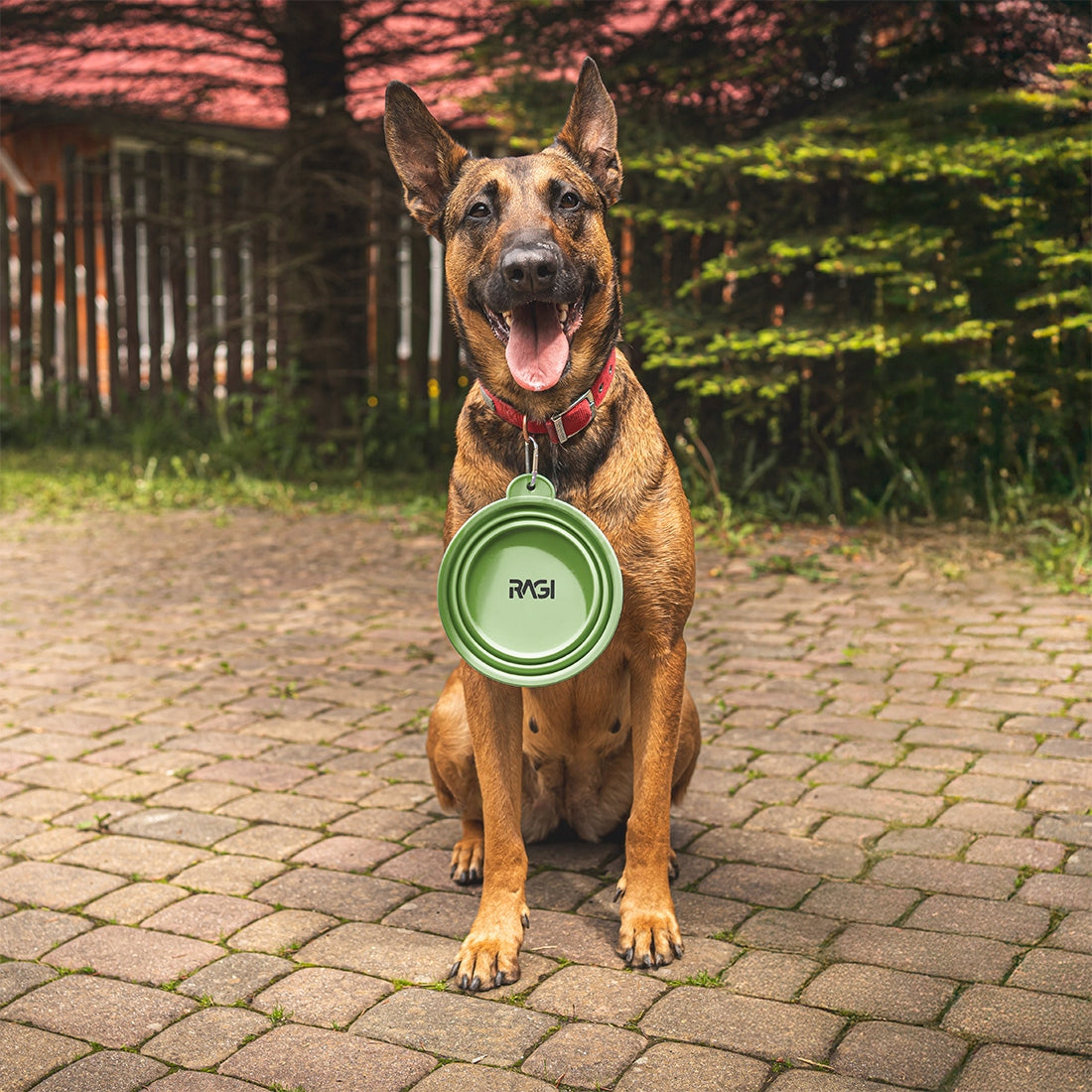 Folding Bowl Tourist For Dog Cat Silicone 1L For Water Food Ragi Brand Ragi