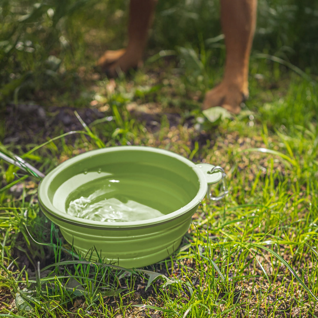 Folding Bowl Tourist For Dog Cat Silicone 1L For Water Food Ragi Trade name Miska podróżna Miska turystyczna