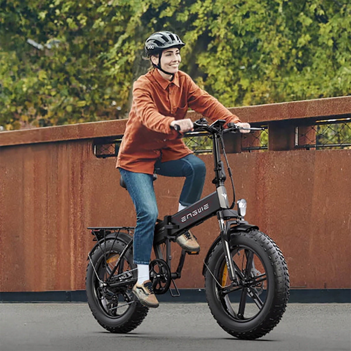 Folding City Electric Bike 250W 55Nm 48V 25KM/H 13Ah 120KM 20“*4.0" MTB EU Packaging status original