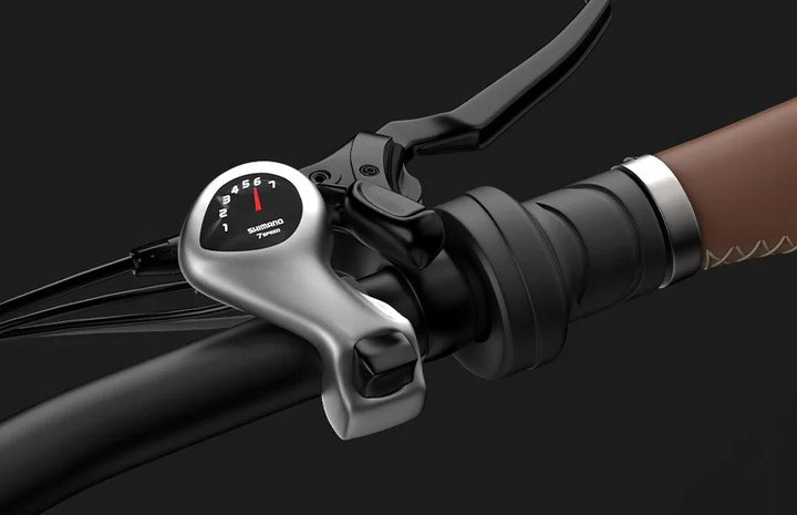 Folding Electric Bike PVY Z20 MAX 250W 36V 25,6Ah 25KM/H 200KM 20" EU Maximum rated power electric bike (under 250W)