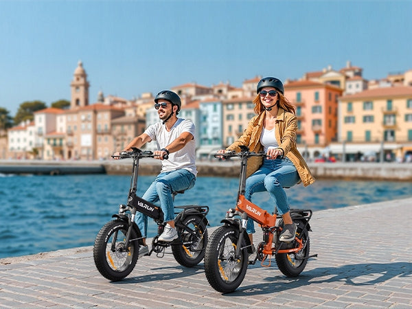 Folding Electric Bike VARUN 20x4'' 48V 13AH 250W 120HP Male/Women's Maximum rated power electric bike (under 250W)