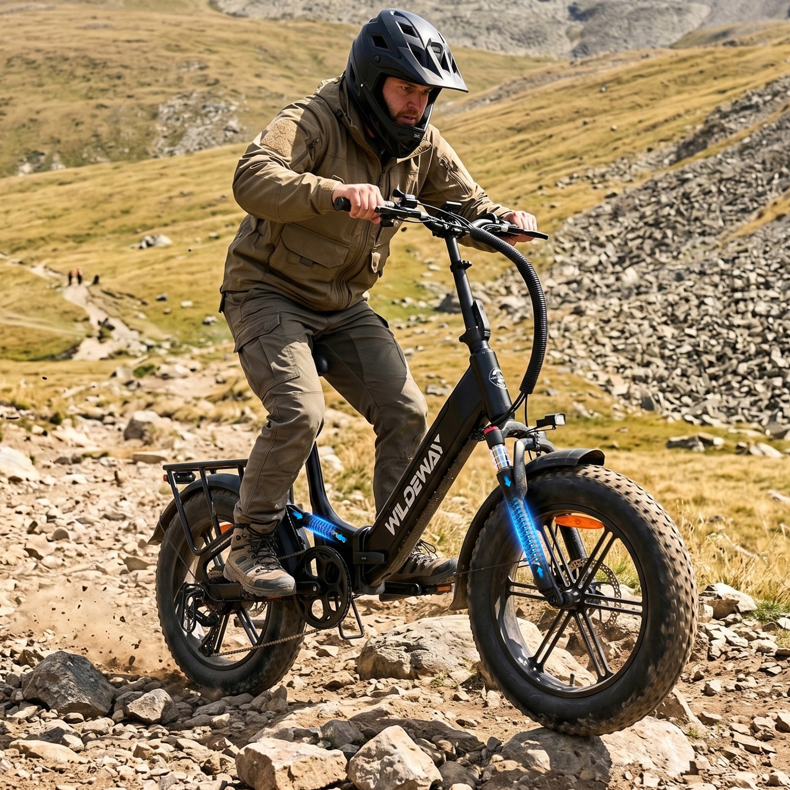 Folding Electric Bike WILDEWAY TORPEDO H20 250W 68NM 15AH 25km/h 100HP Brand no brand