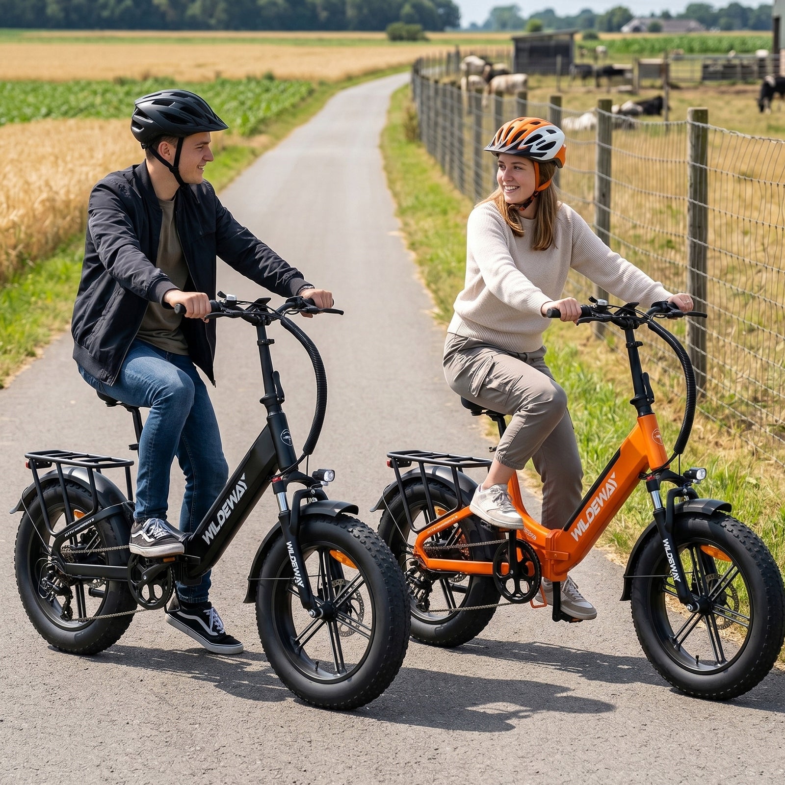 Folding Electric Bike WILDEWAY TORPEDO H20 250W 68NM 15AH 25km/h 100HP Foldability partially assembled, calibrated
