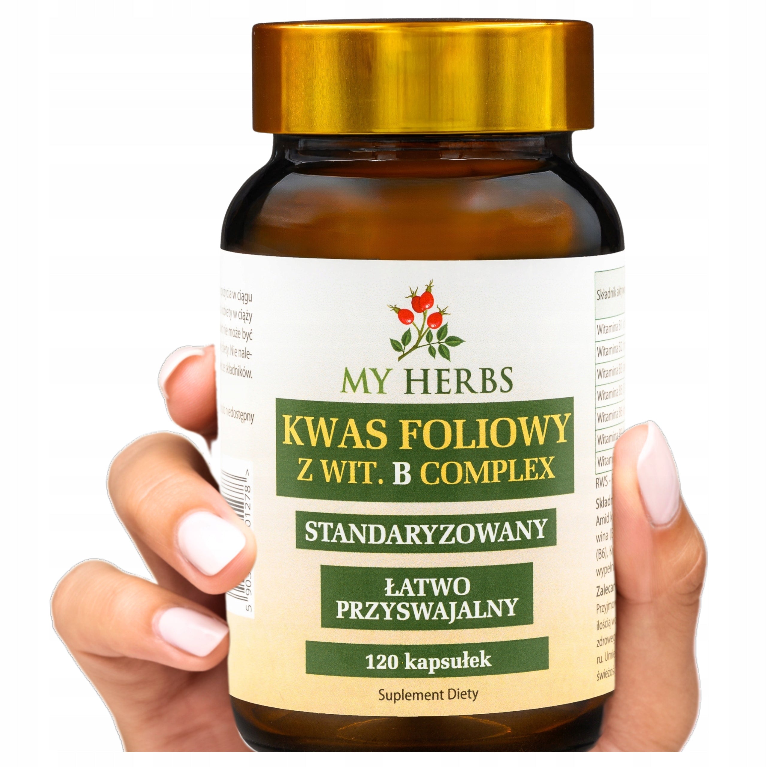 Folic Acid 600µg 300% with Wit. B Complex 120 kaps. pregnancy nervous system