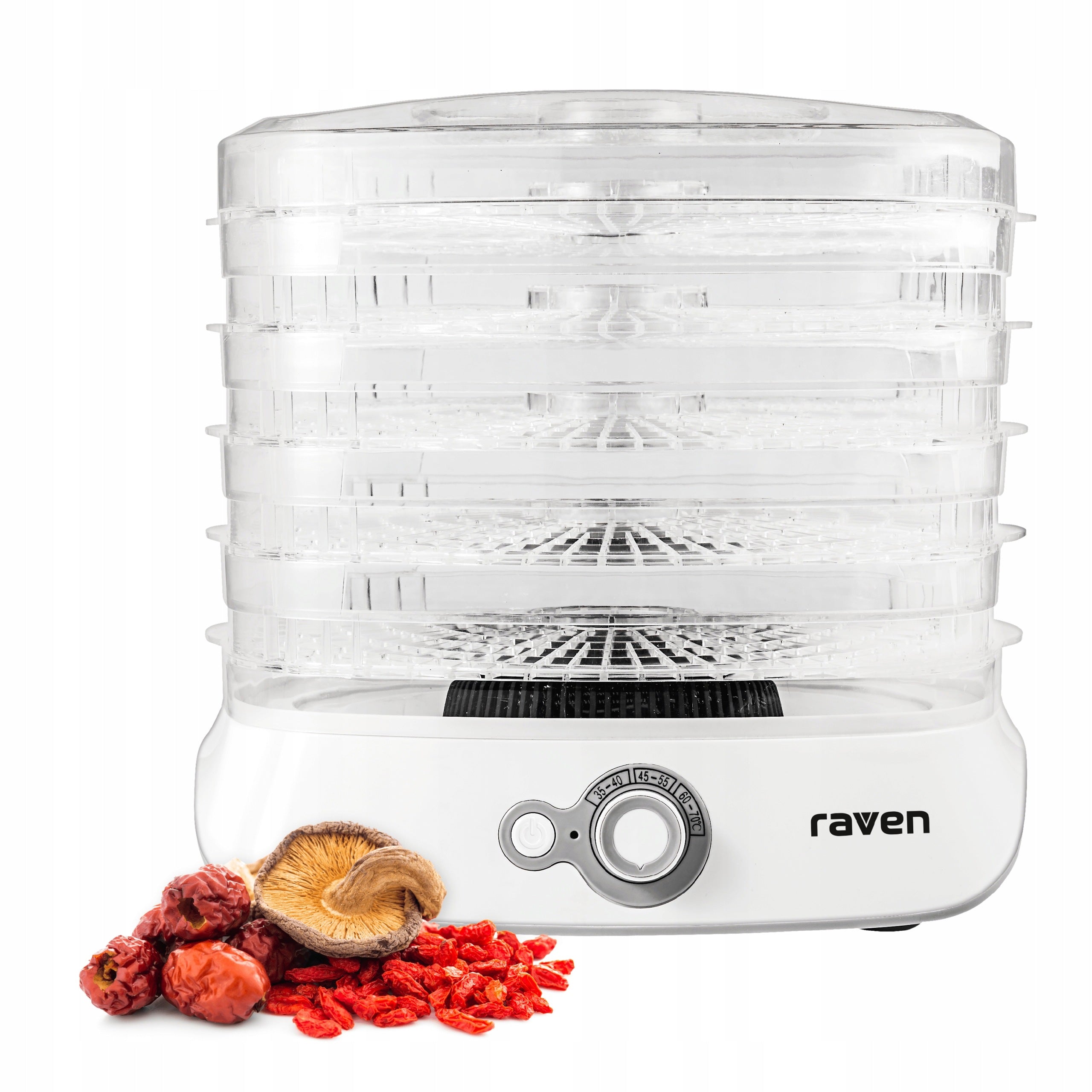 Food dryer for mushroom fruit RAVEN ESS004X 500W 5 sieves White