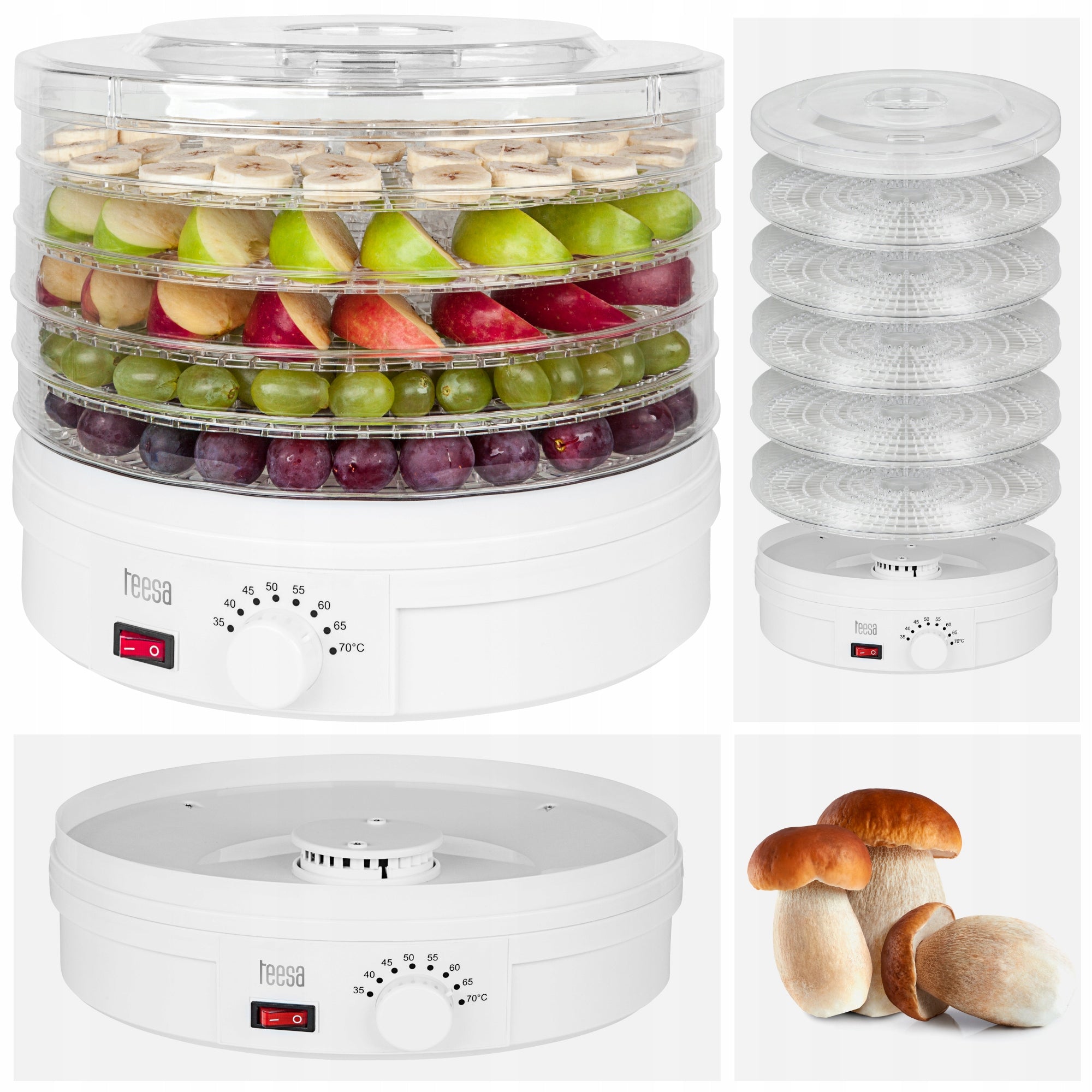 Food dryer for mushrooms vegetables fruit herbs 250W Teesa