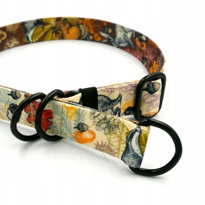 Forest Treasures S/M Semi-Clamp Collar Packaging status original