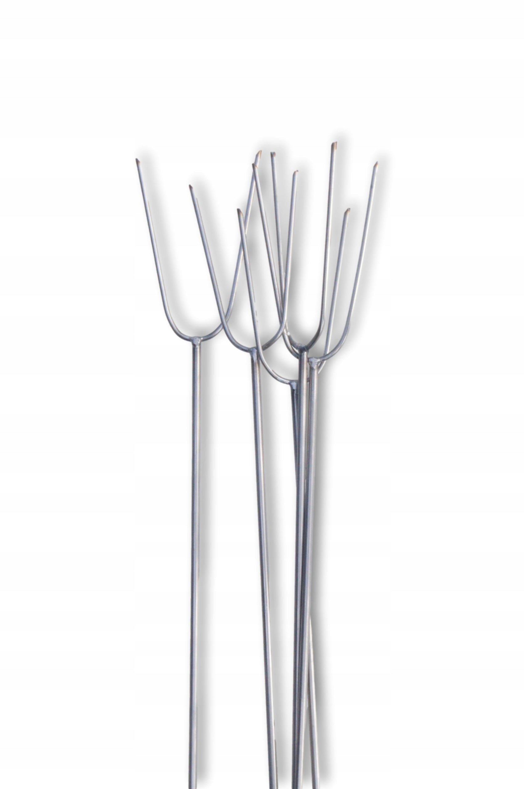 Forks Focal Sticks for Sausage Whole STAINLESS Grill Set 5 Pcs Packaging status original