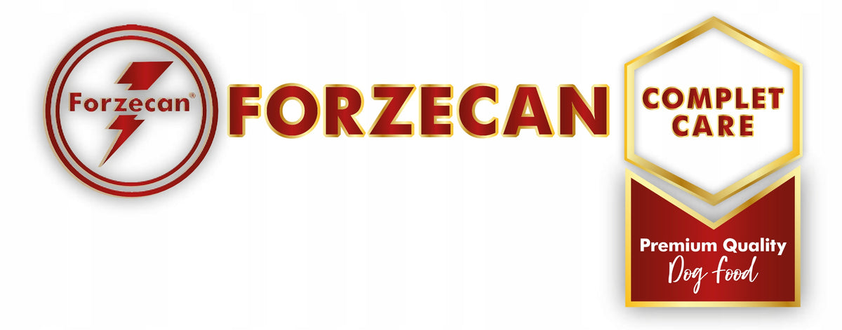 Forzecan Premium Salmon & Rice Puppy 15kg. 59% Packaging status original
