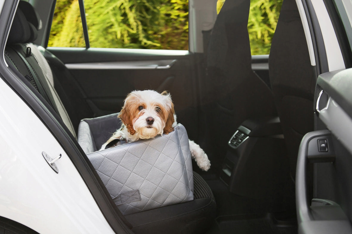 Autobett für Hunde Amibelle Mia Lux Metallic, Silber, M 