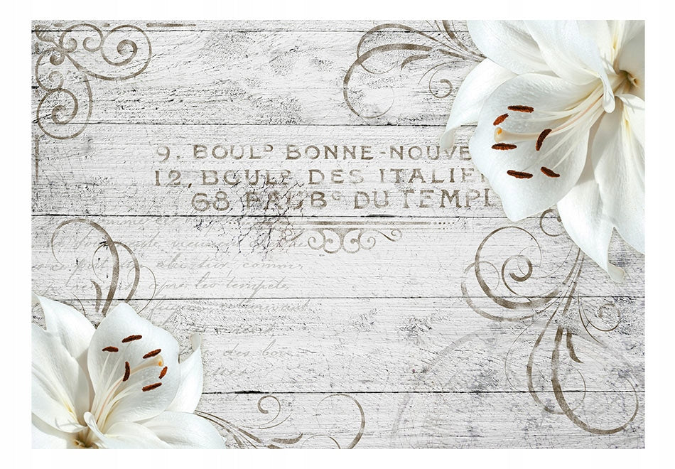 Fototapet - Bonne Nouvelle 
