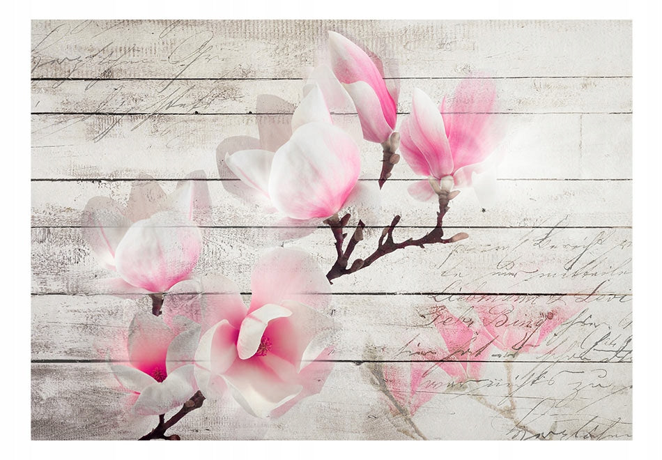 Fototapets – Die Sanftheit der Magnolien 