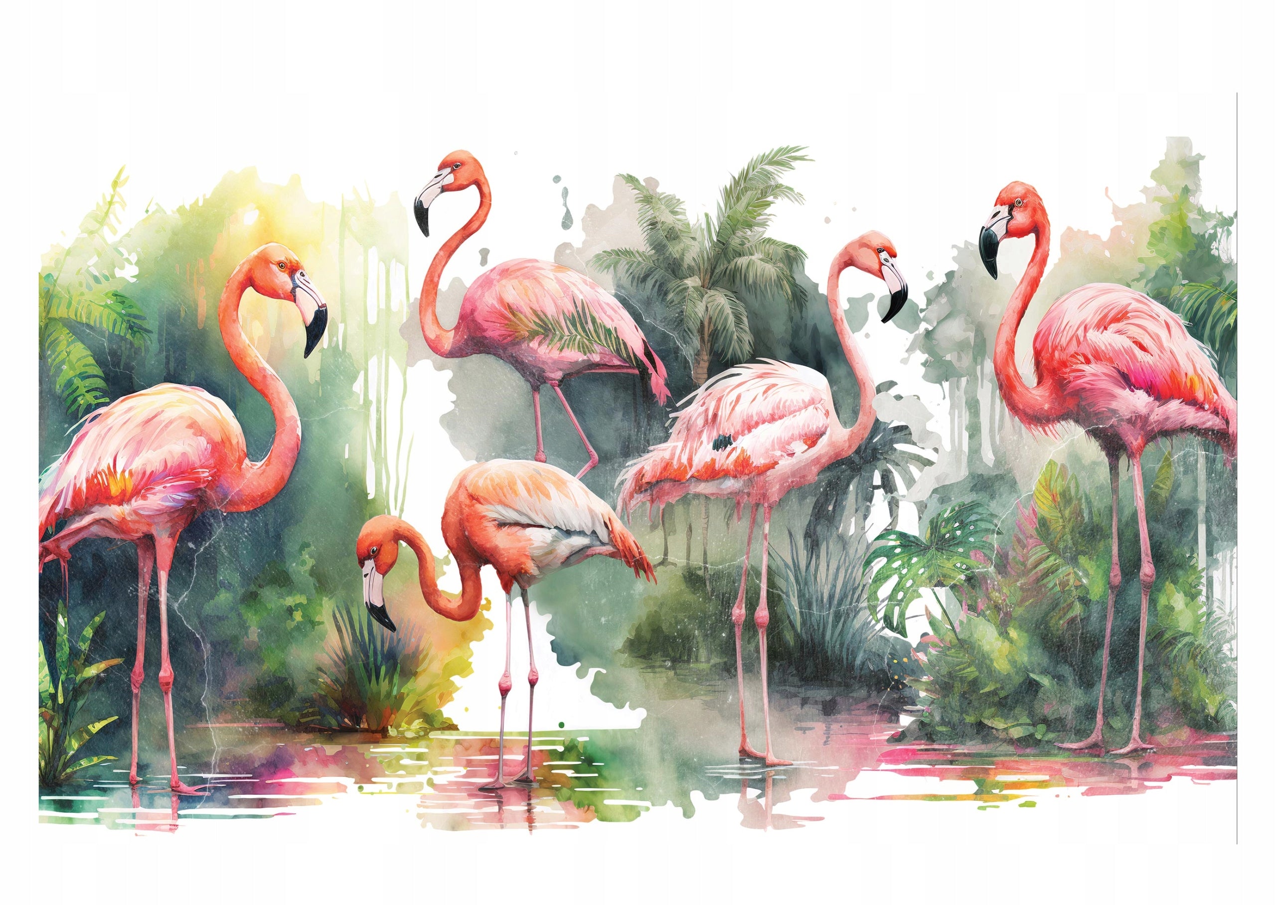 Fototapete Flamingo 
