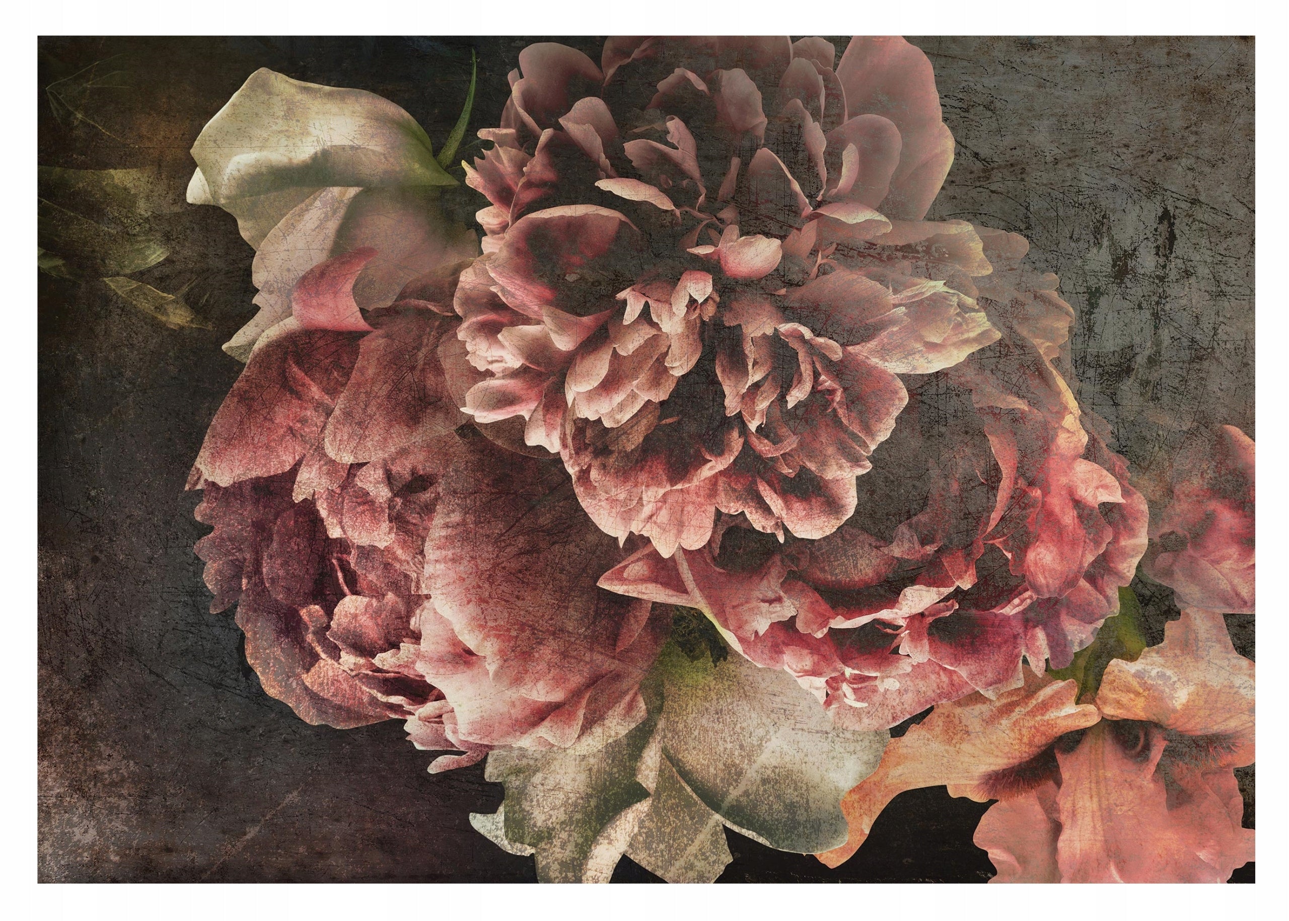 Fototapete Blumen 