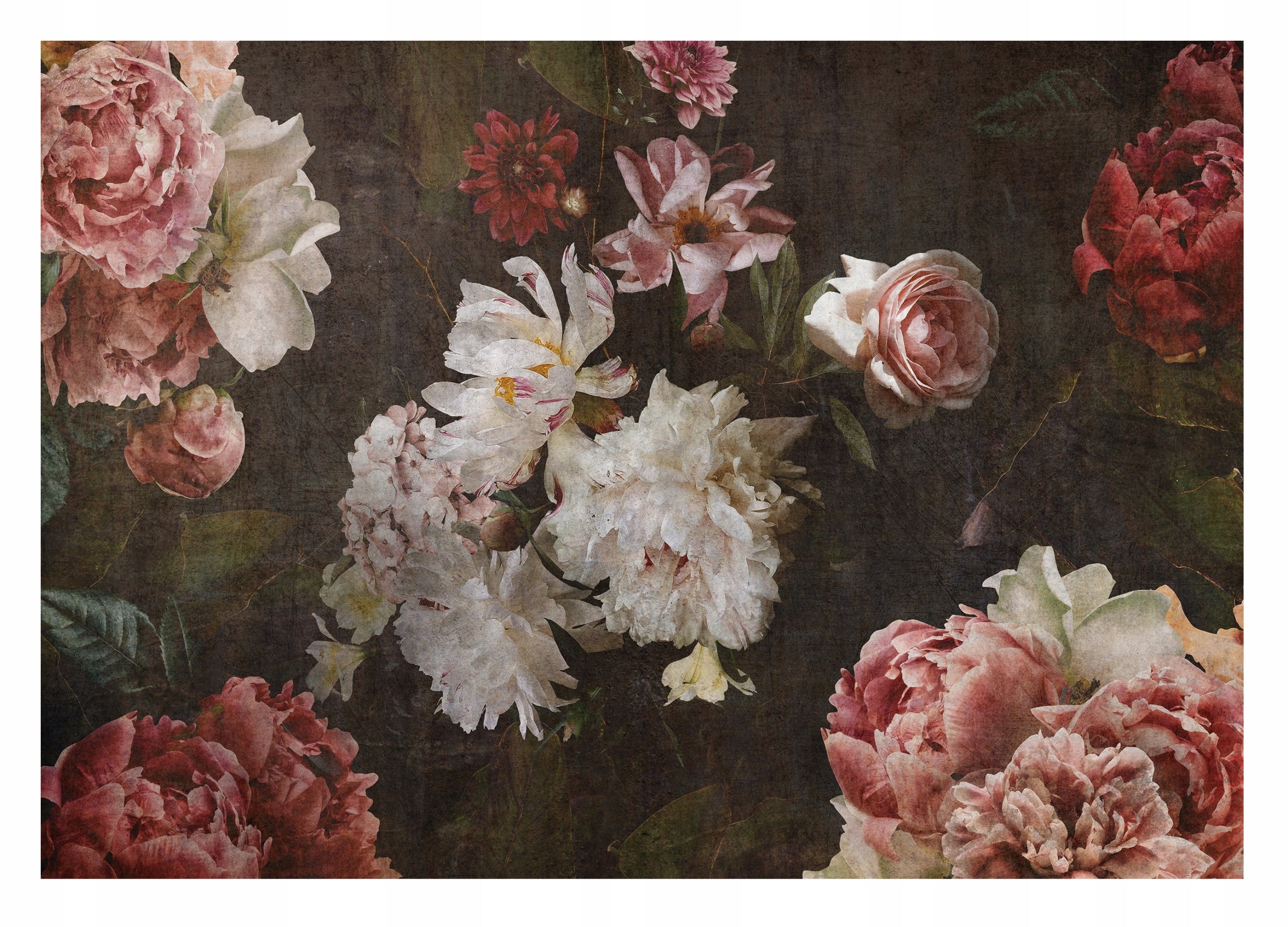 Fototapete Blumen 