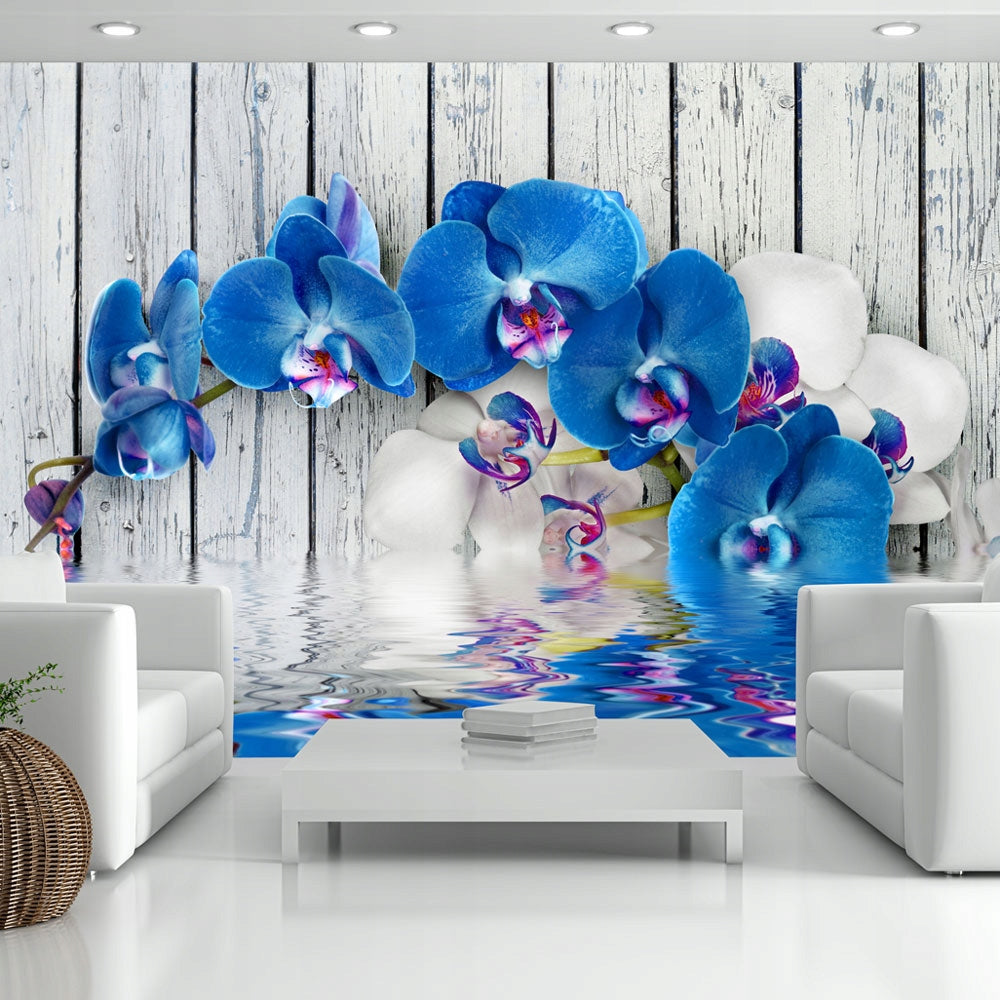 Fototapete - Kobaltische Orchidee 